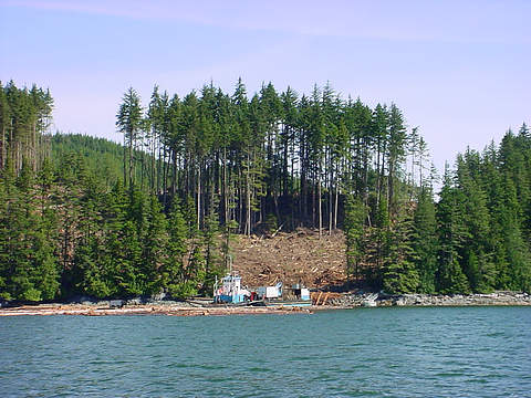 Logging on Knight Inlet