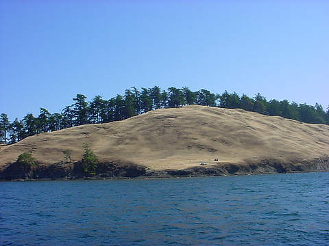 Windswept Speiden Island