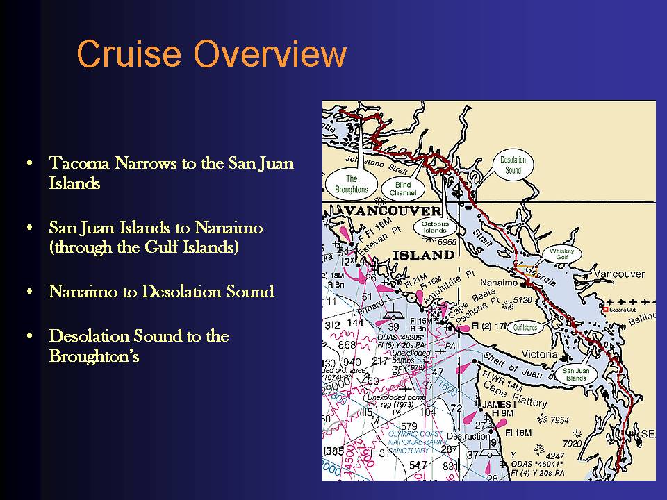 Cruies Overview