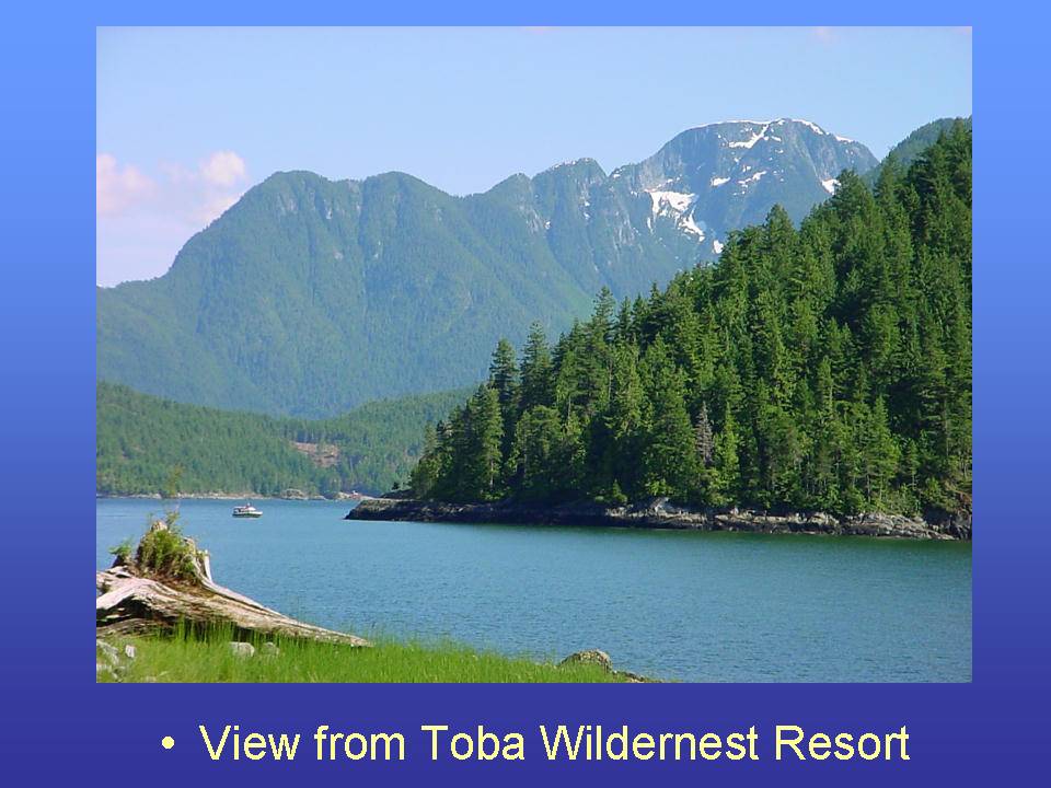 View from Toba Wildernest Resort