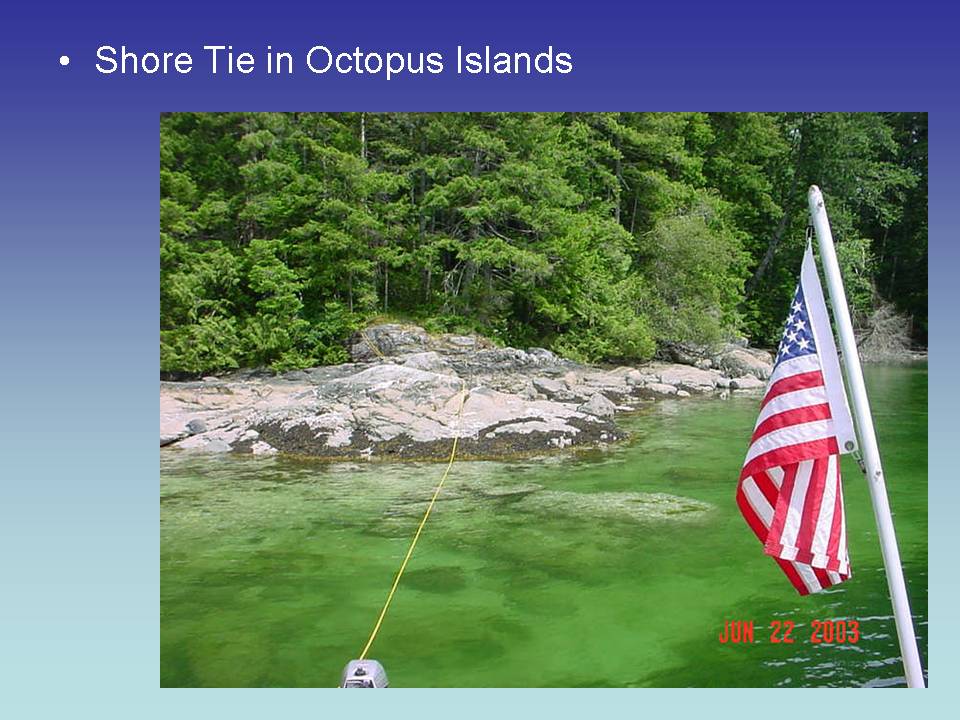 Shore Tie in Octopus Islands