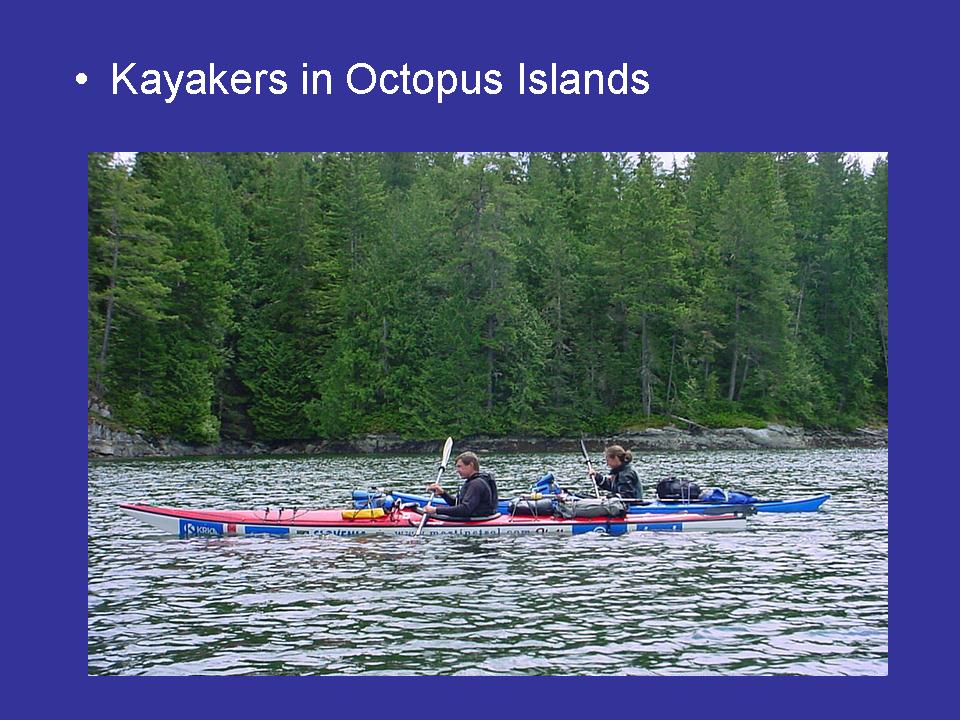 Kayakers in Octopus Islands