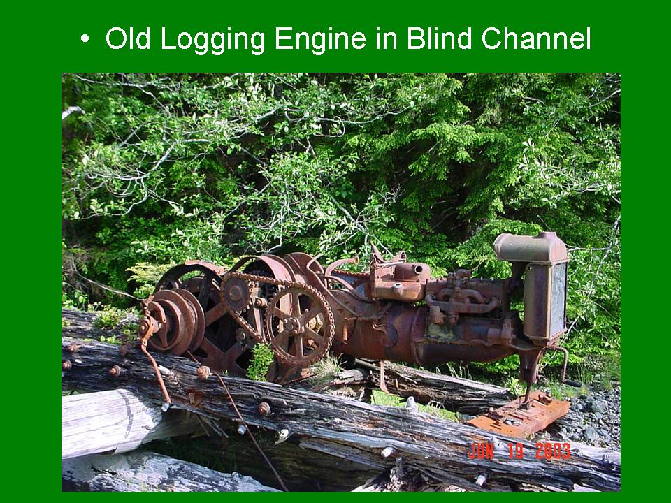 Old Logging Engine in Blind Channel