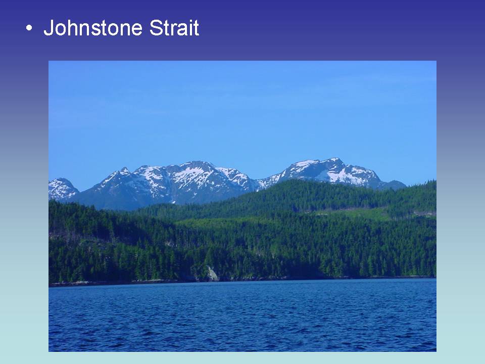 Johnstone Strait