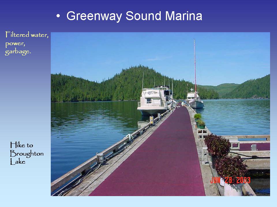 Greenway Sound Marina, red carpeted docks